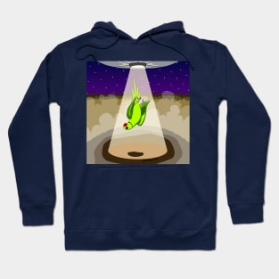 Birb Abduction Hoodie